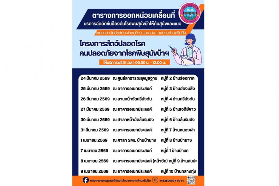 หมาแมว69